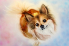横浜校生徒さんの作品