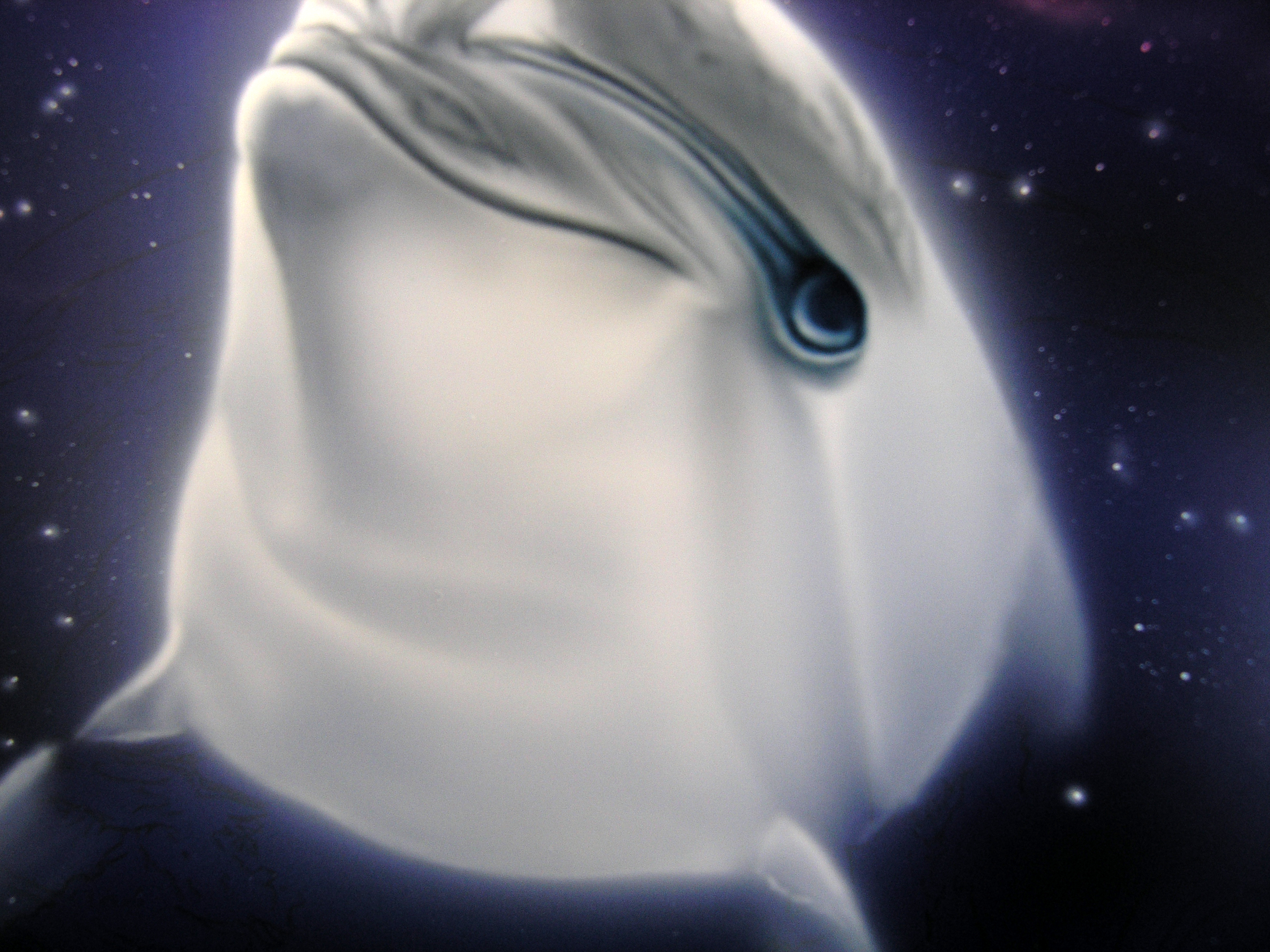 エアブラシアート カラー入門編 イルカの色付け - エアブラシ