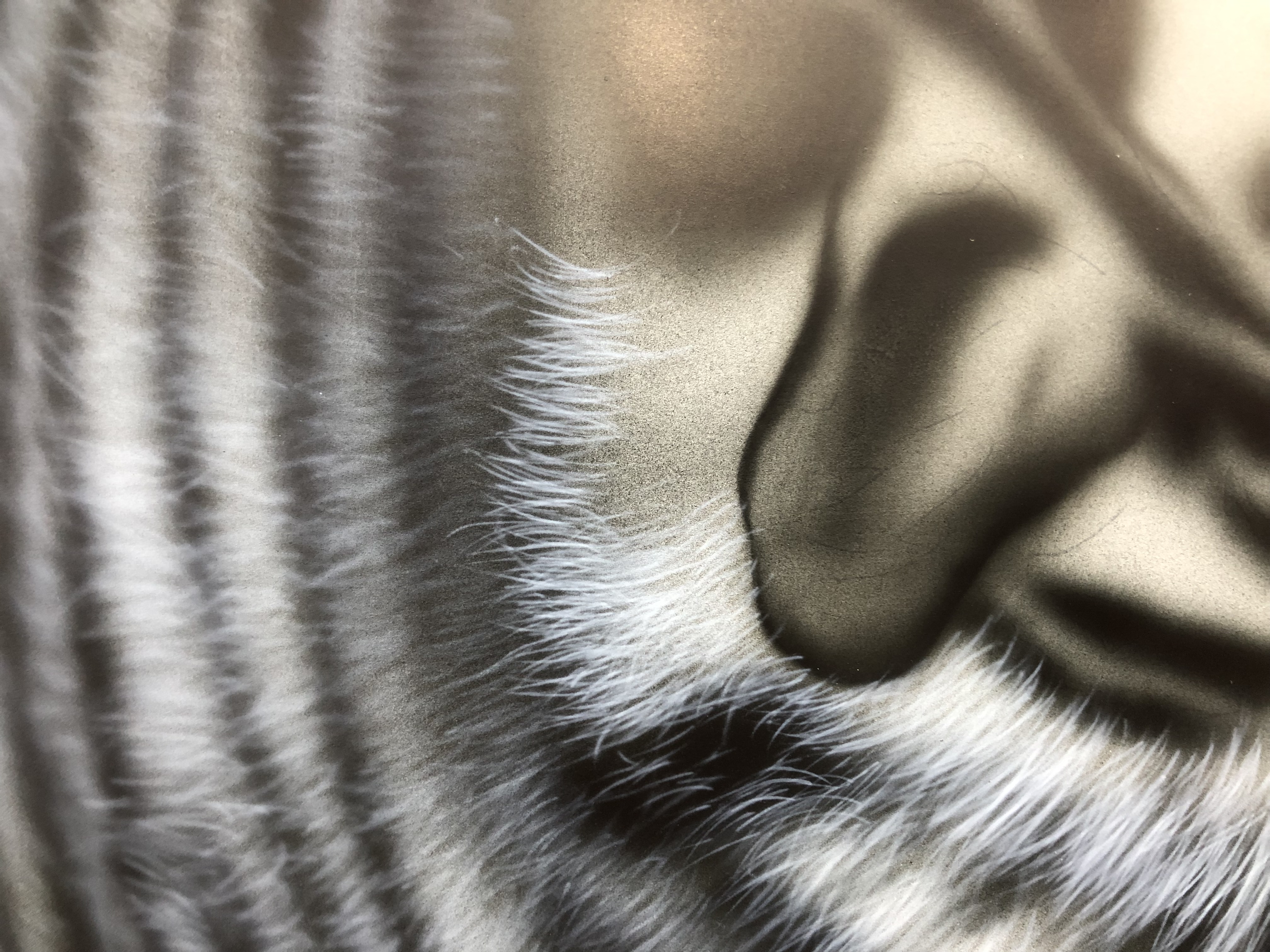 エアブラシアート描き方 動物画編 動物の毛の描き方3 エアブラシオンラインスクール